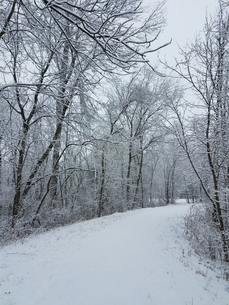 Beauty in our Backyards